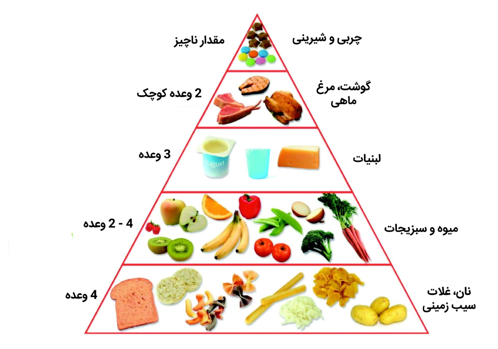 بهترین تغذیه برای کودکان کم وزن